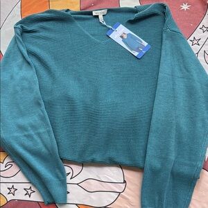 Ella Moss Turquoise V-Neck Sweater NWT